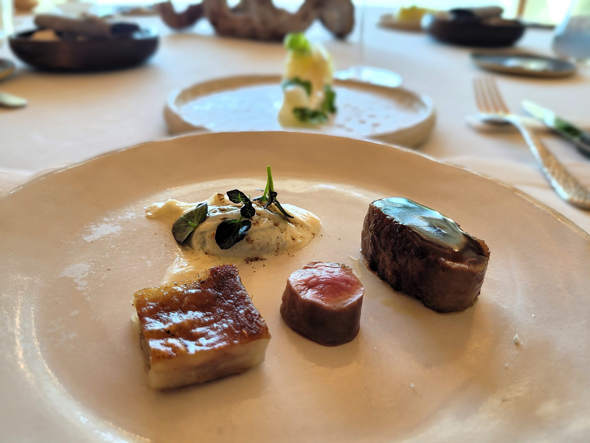 Cordero recental BArdal