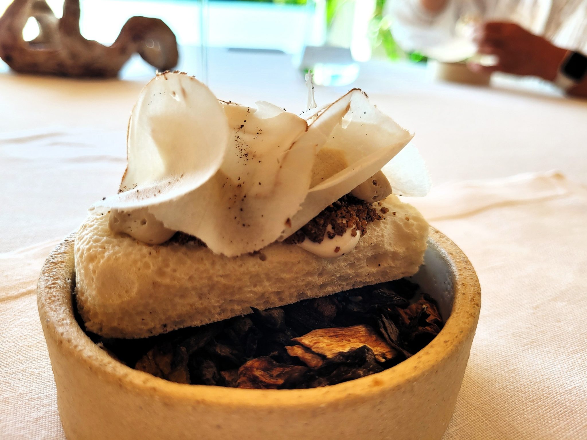 Setas, café y piñón BArdal