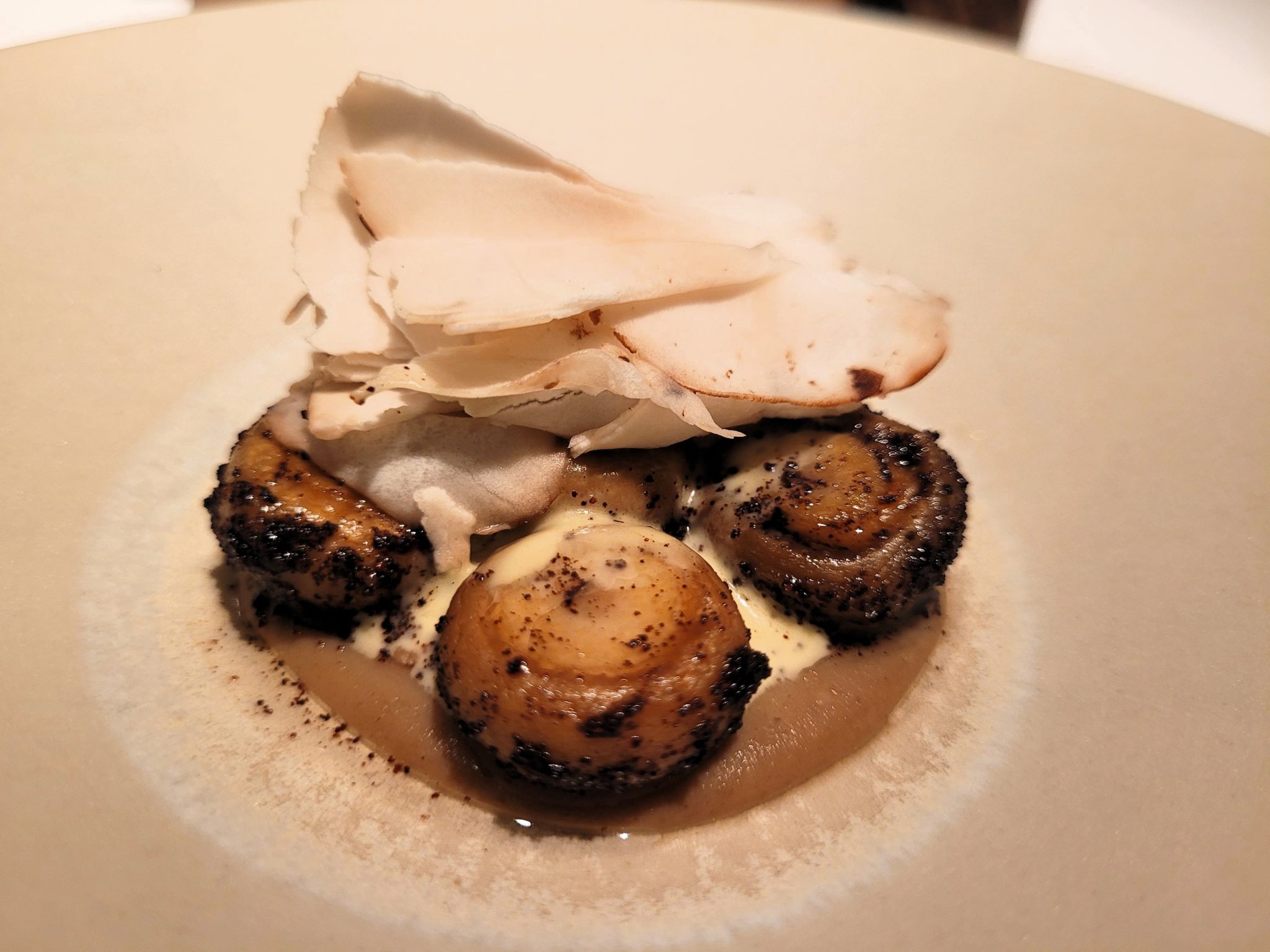 Champiñón botón Cebo